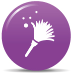 An icon showing a feather duster indicating dusting
